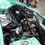 IMG_2931 copy