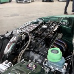 IMG_3046 copy