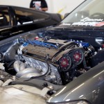 IMG_3061 copy
