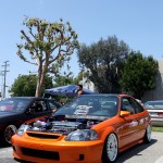 IMG_3090 copy